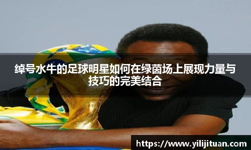 绰号水牛的足球明星如何在绿茵场上展现力量与技巧的完美结合