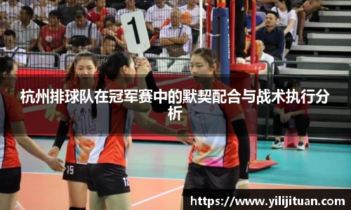 杭州排球队在冠军赛中的默契配合与战术执行分析